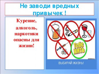 Час актуальной информации "Вся правда о вредных привычках"