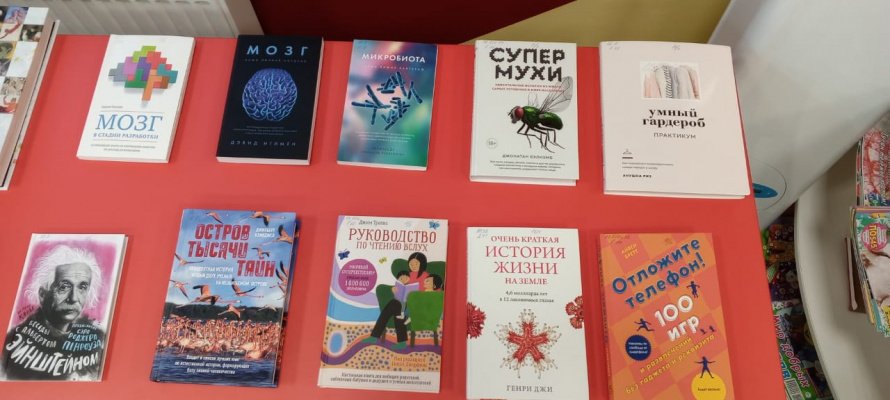 Новинки книг