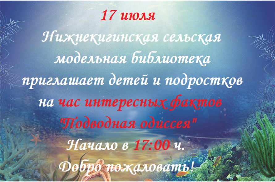 Внимание! Внимание! Внимание!